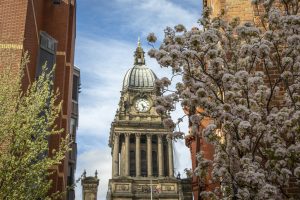 Carl Milner image of Town hall Tower with trees in foreground